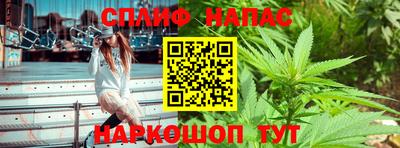 твердый Камышлов