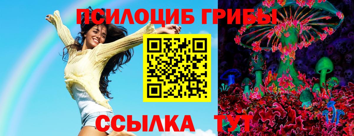 Галлюциногенные грибы Psilocybine cubensis Ессентуки