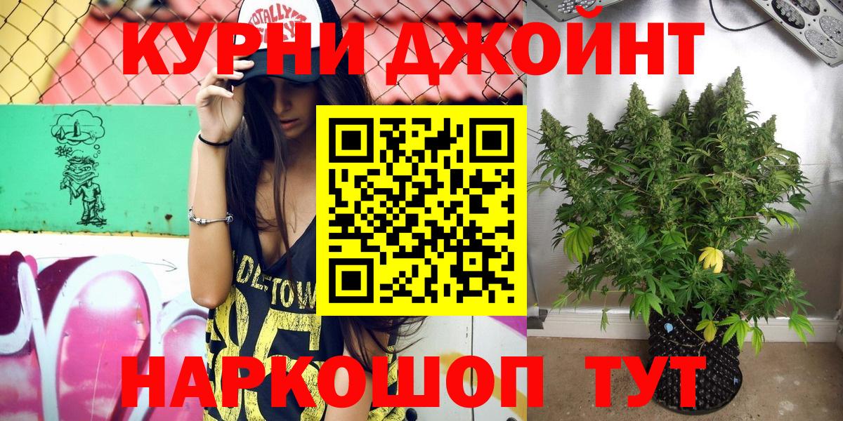 Бошки марихуана VHQ Ессентуки